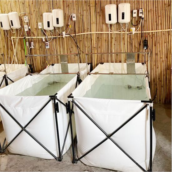 Hot water immersion therapy for detoxification